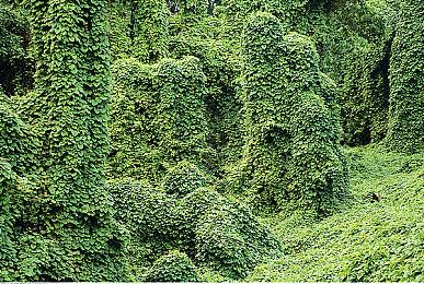 手绘风格解密游戏《怪物之家2: 勋章》Steam页面开放 发售日待定